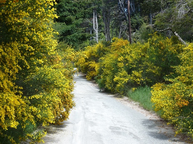 Bariloche