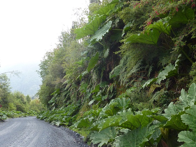 Carretera Austral