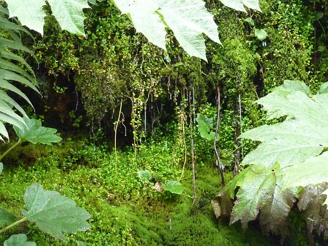 Carretera Austral
