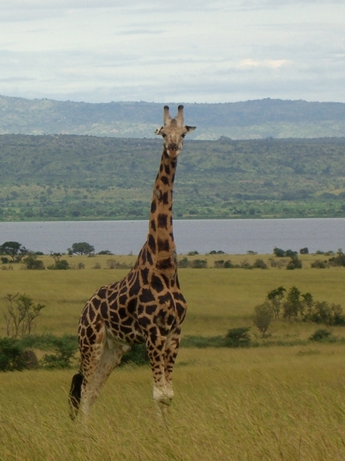 Afrika