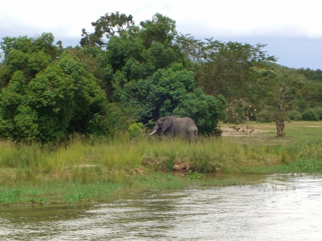 Afrika