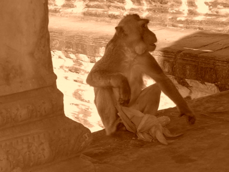 Ancient Angkor