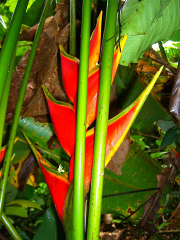 Rueckblick Ecuador