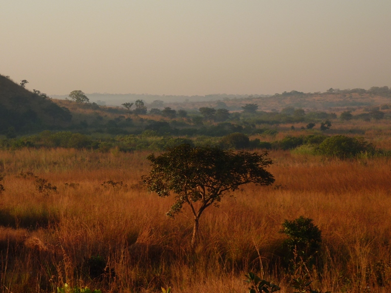 Kamerun