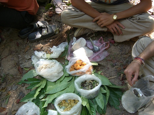 Laos
