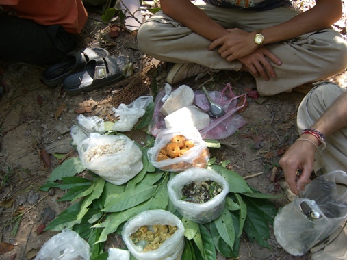 Laos