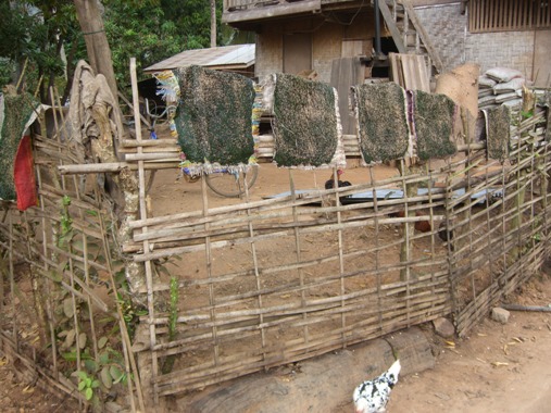 Laos