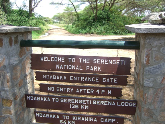 Serengeti/Ngorongoro