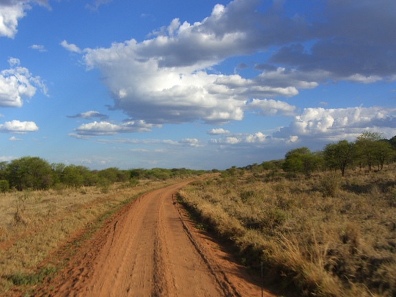 Serengeti/Ngorongoro