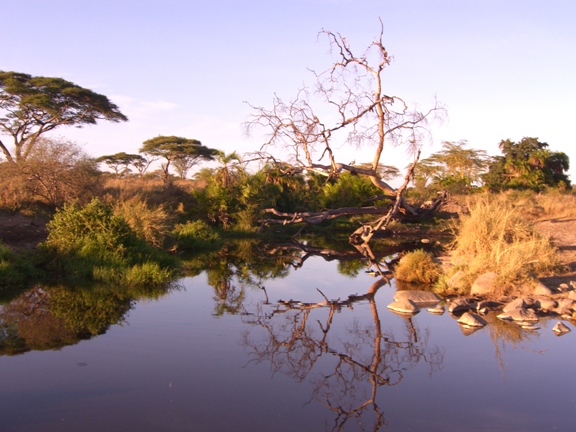 Serengeti/Ngorongoro