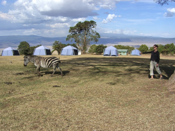 Serengeti/Ngorongoro