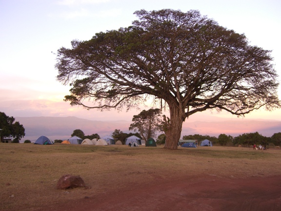 Serengeti/Ngorongoro