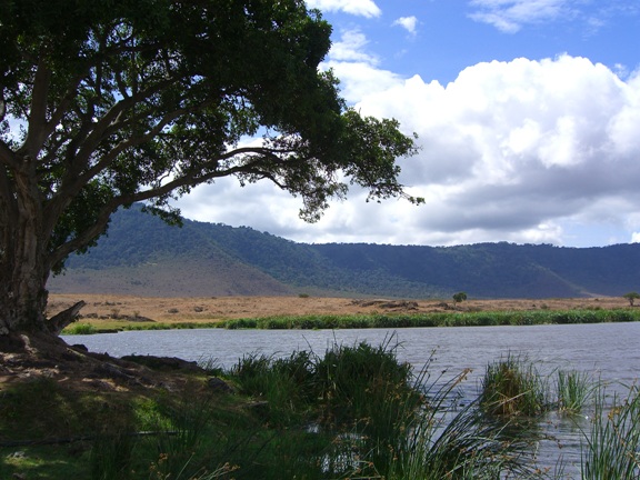 Serengeti/Ngorongoro