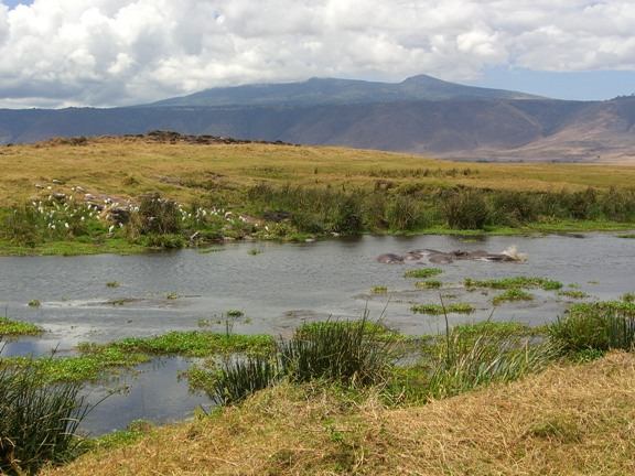 Serengeti/Ngorongoro